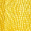 Primary dyeing
