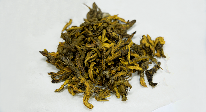 황련